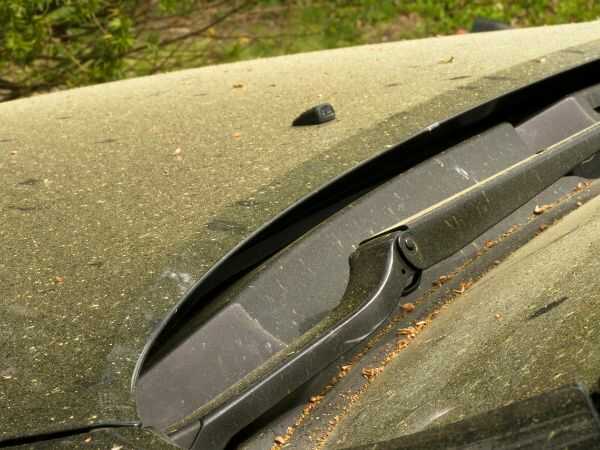 花粉が乗った車