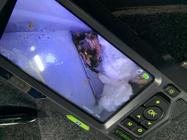 セレナ・ネズミ退治＆車内消臭クリーニング・カメラでネズミ捜索