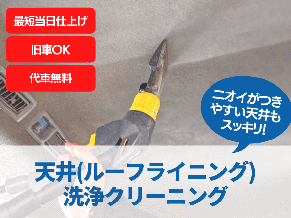 天井（ルーフライニング）洗浄クリーニング・ニオイが付きやすい天井もスッキリ！
