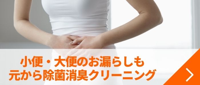 小便・大便のお漏らしも元から除菌消臭クリーニング