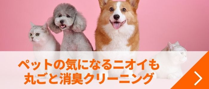 ペットの気になるニオイも丸ごと消臭クリーニング