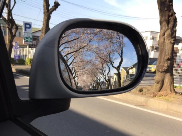 ドアミラー越しの桜並木♪サムネイル