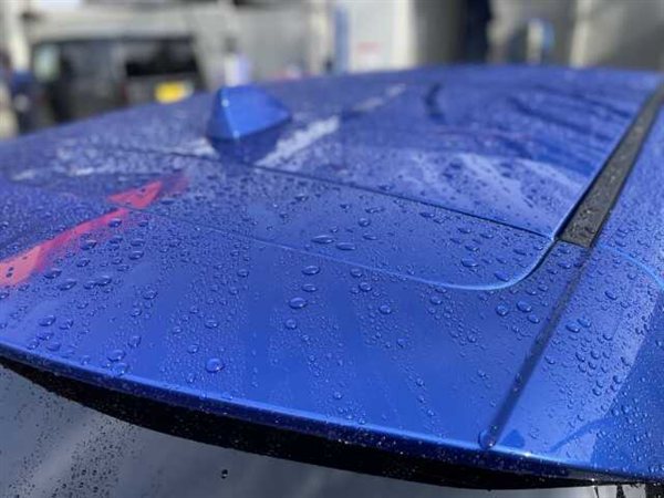 撥水したボディの上に並ぶ水玉