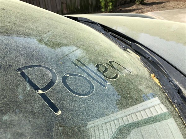 花粉が積もったフロントガラスに指で書いたPollenの文字