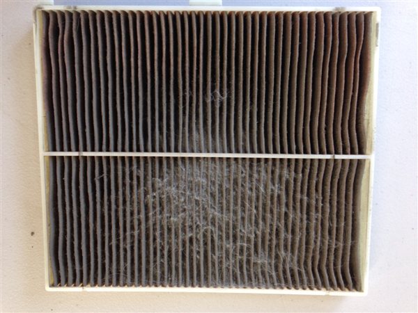ペットの毛やホコリがびっしり付いたエアコンフィルター(スズキ パレットの施工事例)