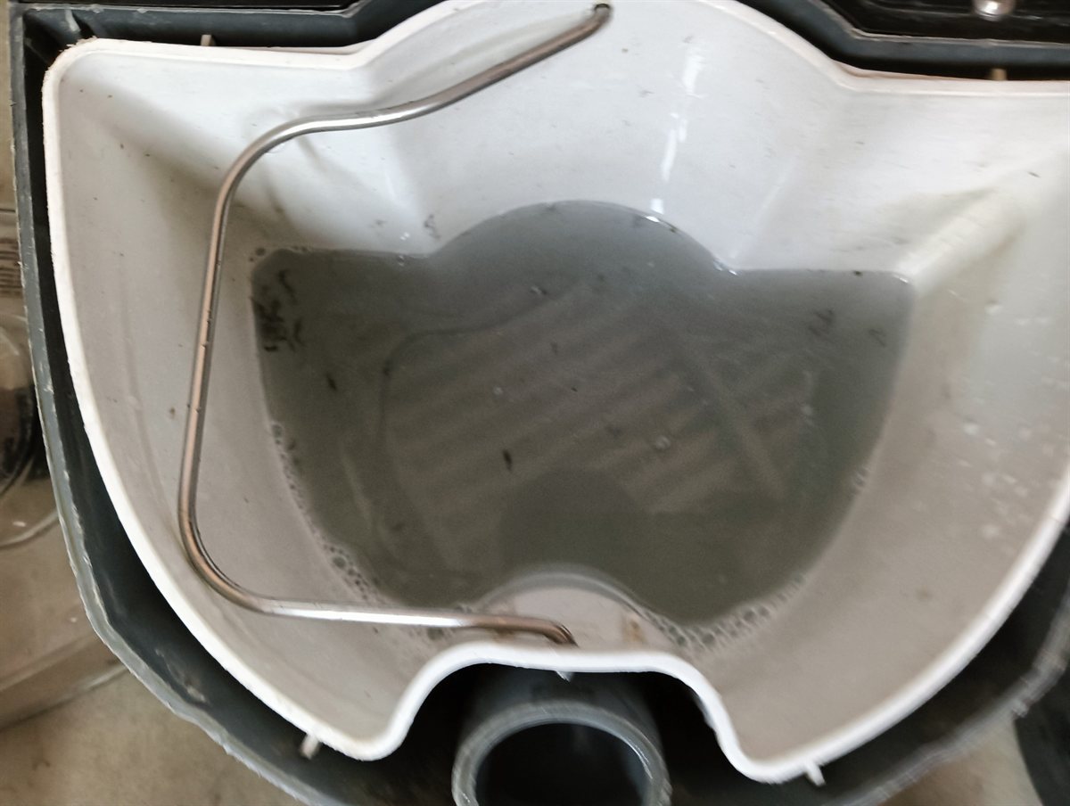 洗って吸い取った水。グレーににごっている